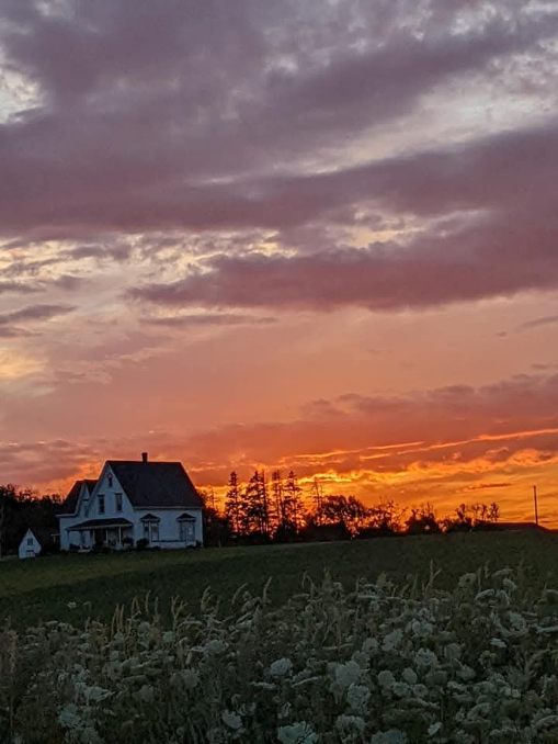 Historic books and antiques at Ingleside
